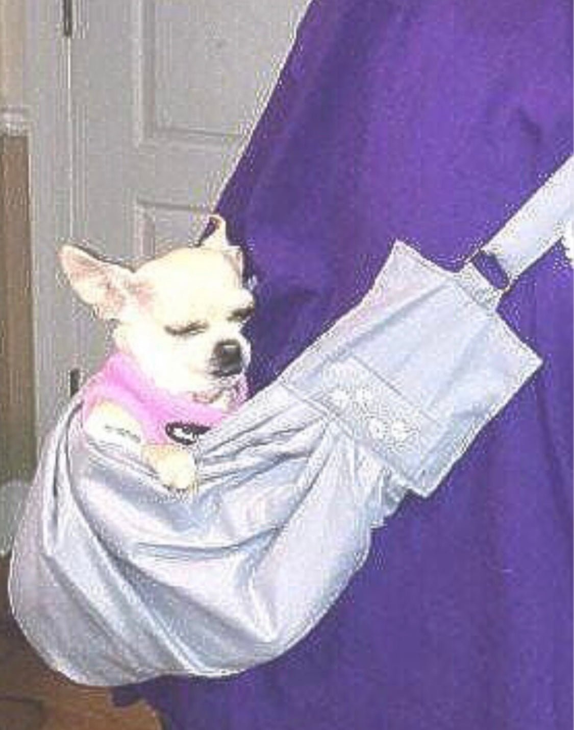 Pets - Memes Custom Stitches LLC